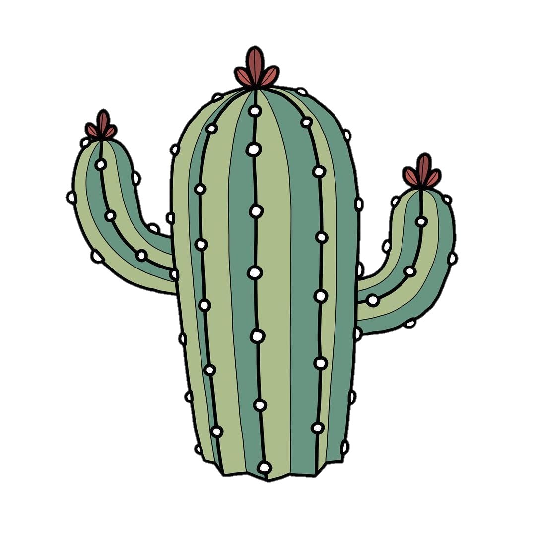 47+ Transparent Tumblr Png Stickers Cactus Gif