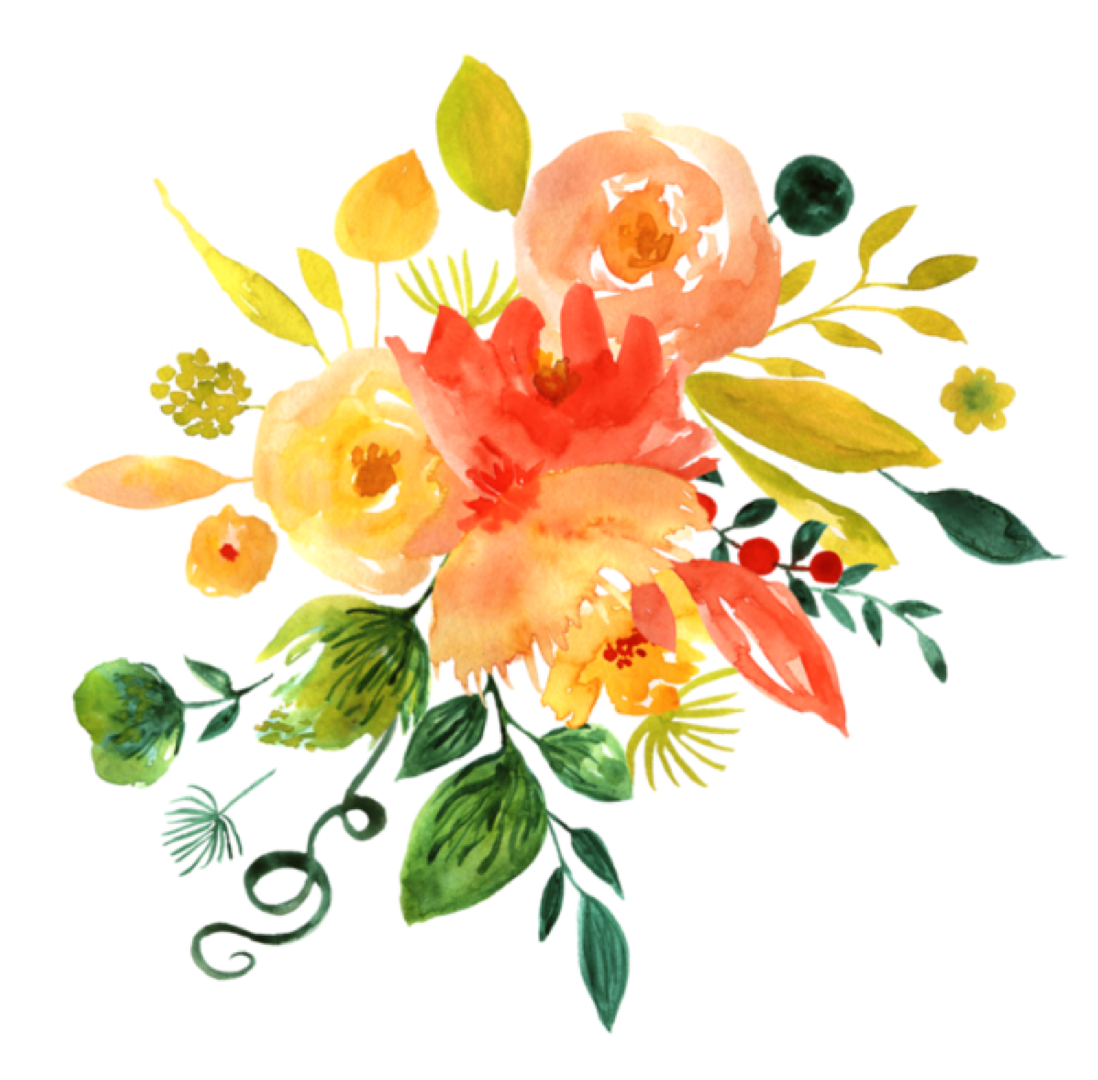 View Transparent Background Aesthetic Watercolor Flower Png Gif