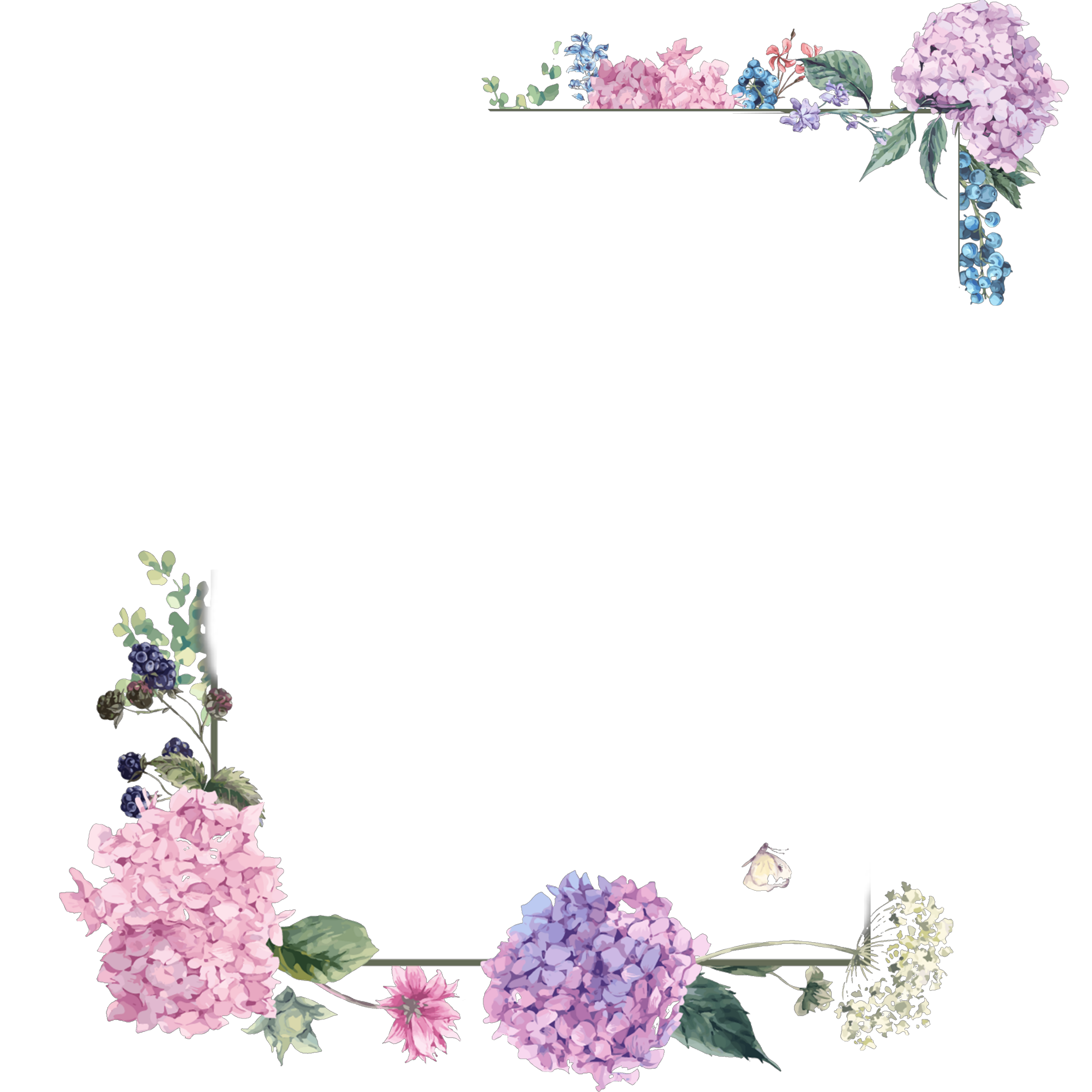 Free Frames And Borders Png Flower Border Design Png Png Frames My Xxx Hot Girl 5884