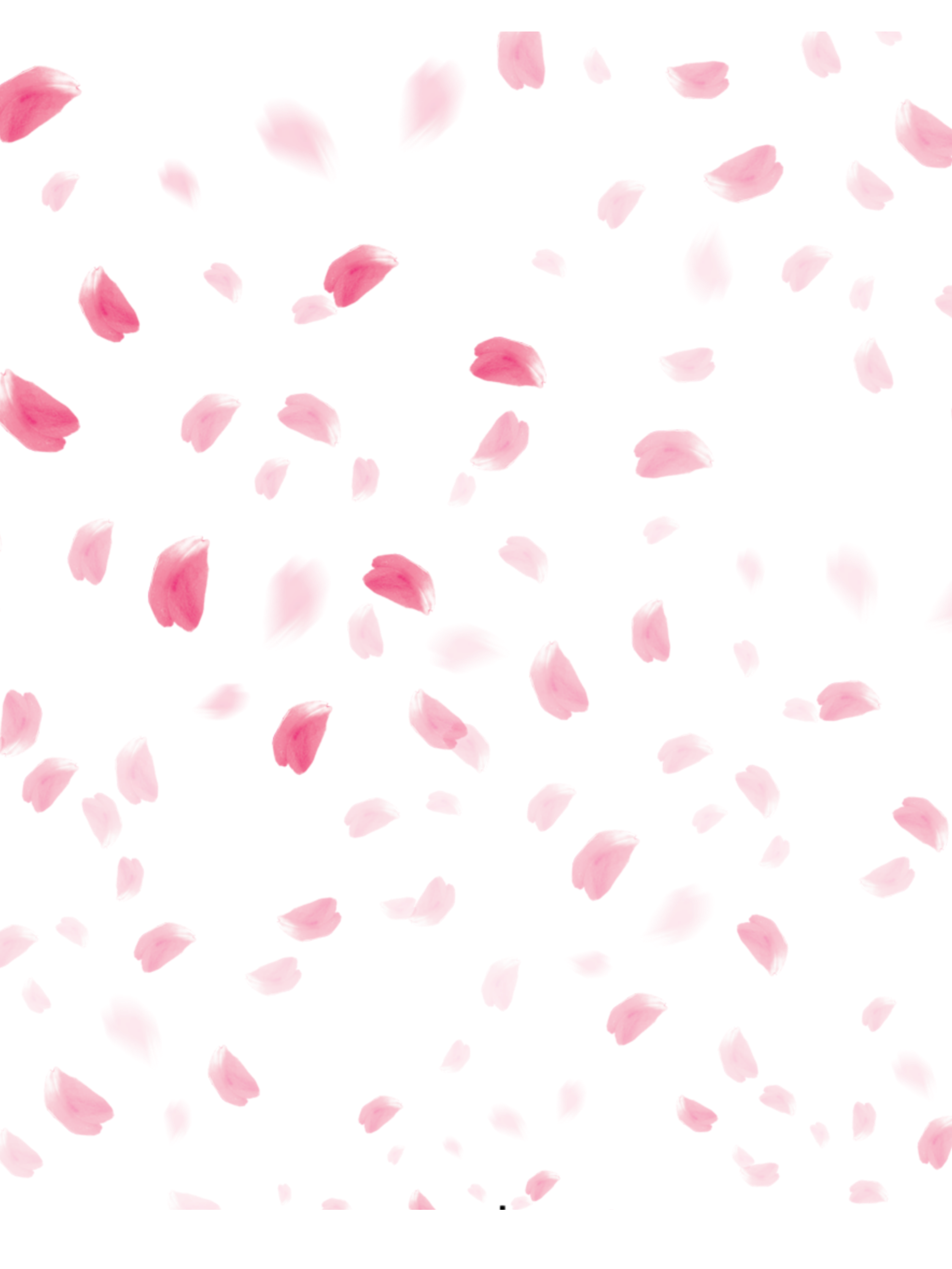 ftestickers flowers petals falling floating pink&hellip;