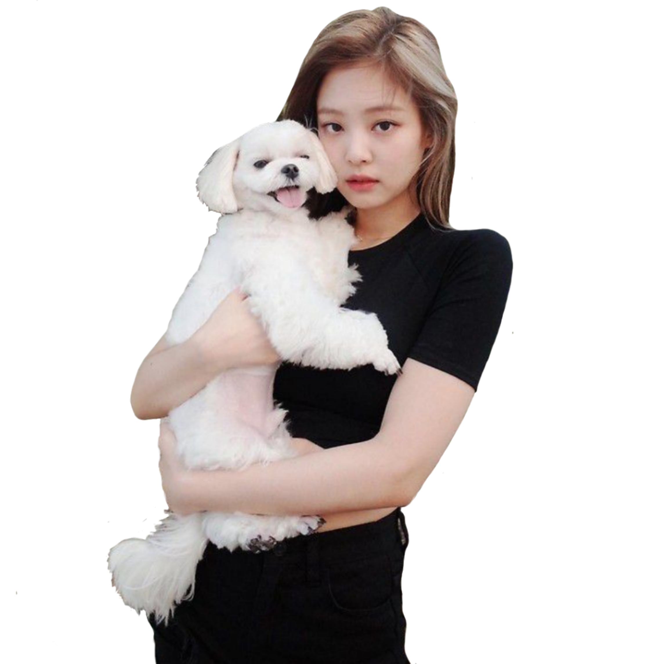 Freetoedit Jennie Blackpink Sticker By Thefrozen Fire Hot Sex Picture