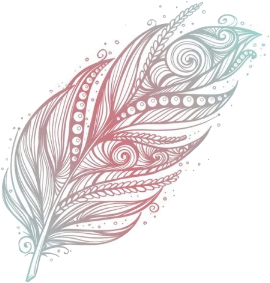 Pluma Freetoedit Scfeathers Feathers Sticker By Lauriana009