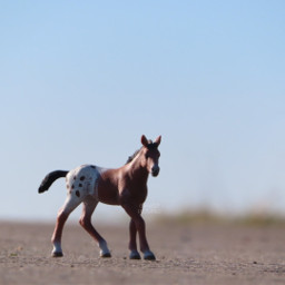 schleich picture modelhorse riding cute horse zoom sweet27pictures