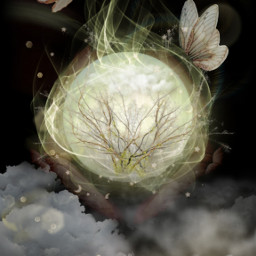 nature trees ball magic butterflywings wings fairy fairycore freetoedit irclookingglass lookingglass