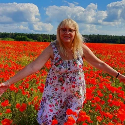 poppyfield mohnfeld poppy mohn me ich freetoedit pctheperfectdayoff theperfectdayoff