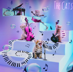 madewithpicsart madebyme myedit magical cat music stairs cute bubbles musicalnotes