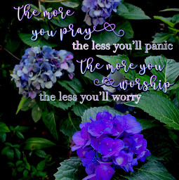 freetoedit pray worry worship flowers christianquotes