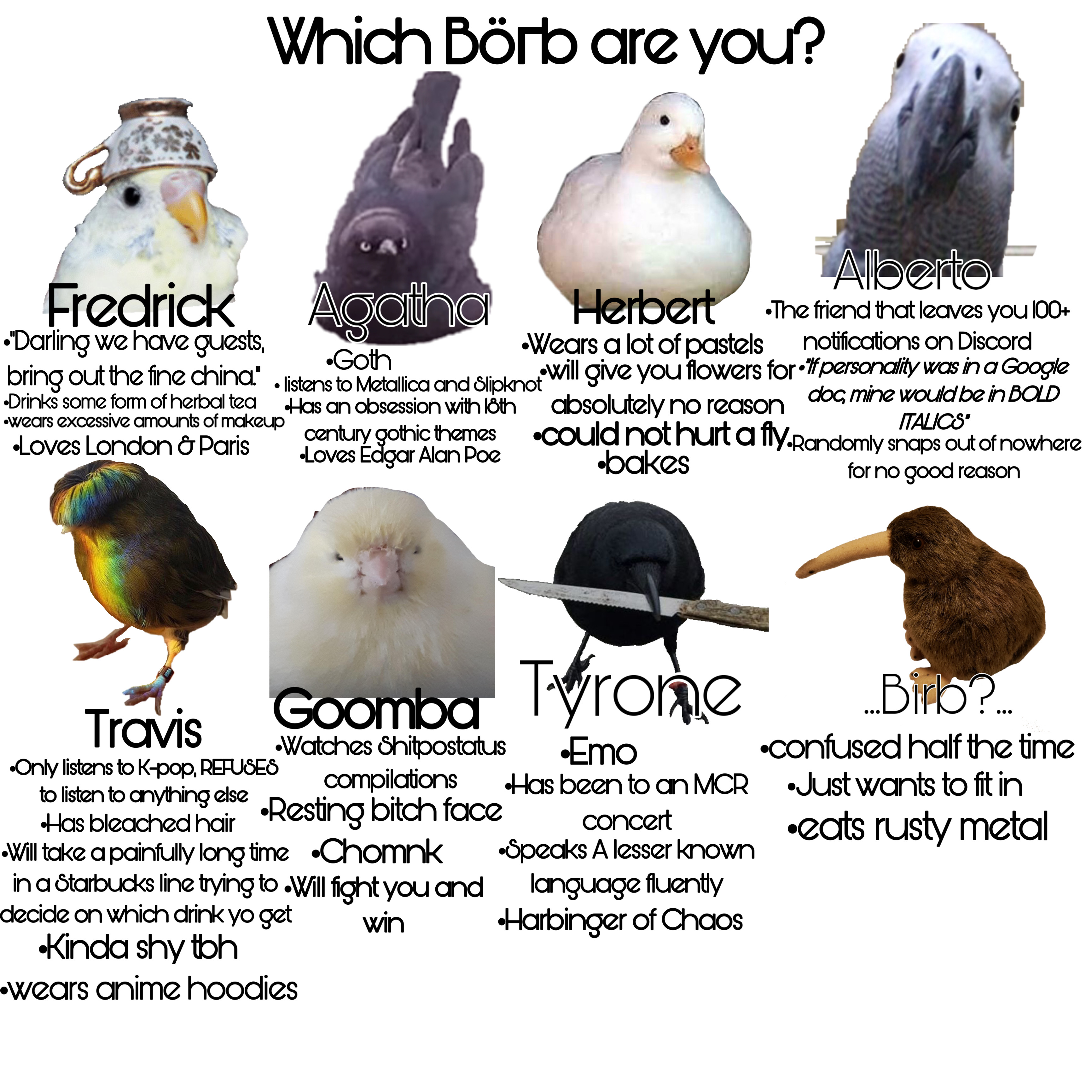 Find more win photos 401585405010201