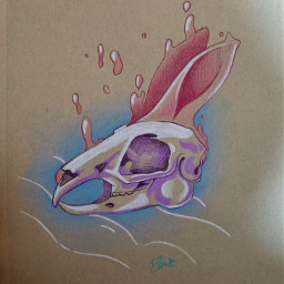 sketch drawing illustration rabbit skull skeleton abstract colourful pencildrawing imagination art freetoedit