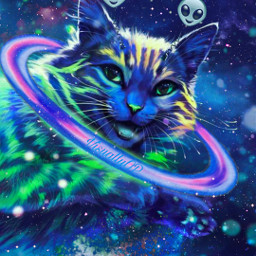picsart love creative adorable cat catlover catperson galaxy fantasy editbydk srcaliensheadband alienheadband visuallyop freetoedit