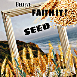 freetoedit message afternoon daylight nature wind faith wheat seed sow harvest abundance ircsavethememory savethememory