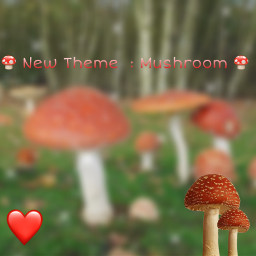 aesthetic mushrooms mushroom mushroomaesthetic freetoedit