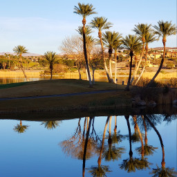 desert vegas golfcourse lakelasvegas reflection water palmtrees shadows travel destination vacation scenery resort myoriginalphoto freetoedit