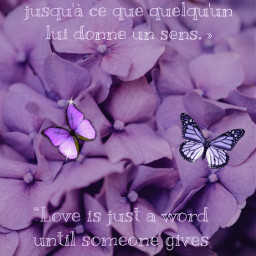 freetoedit cuation quote purple flowers purpleflower violet citation fleurviolette english french