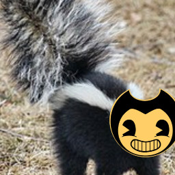 freetoedit skunk