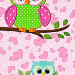 owllove hearts chillininatree pink green freetoedit