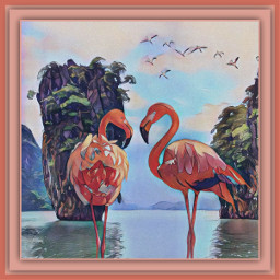 instachallenge flamingo birds paradise freetoedit