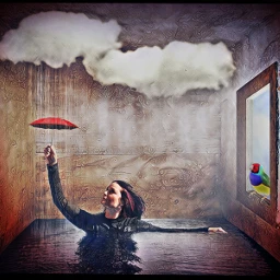 surreal challenge surrealchallenge remixit rain umbrella bird clouds girlwithumbrella myedits myarts freetoedit ecsurrealisticworld surrealisticworld