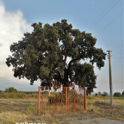 myphoto albero
challenge
⛔no freetoedit albero pcsurroundedbytrees surroundedbytrees