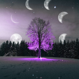 tree stars moon moonphases winter night fog backgrounds heypicsart madewithpicsart nature freetoedit