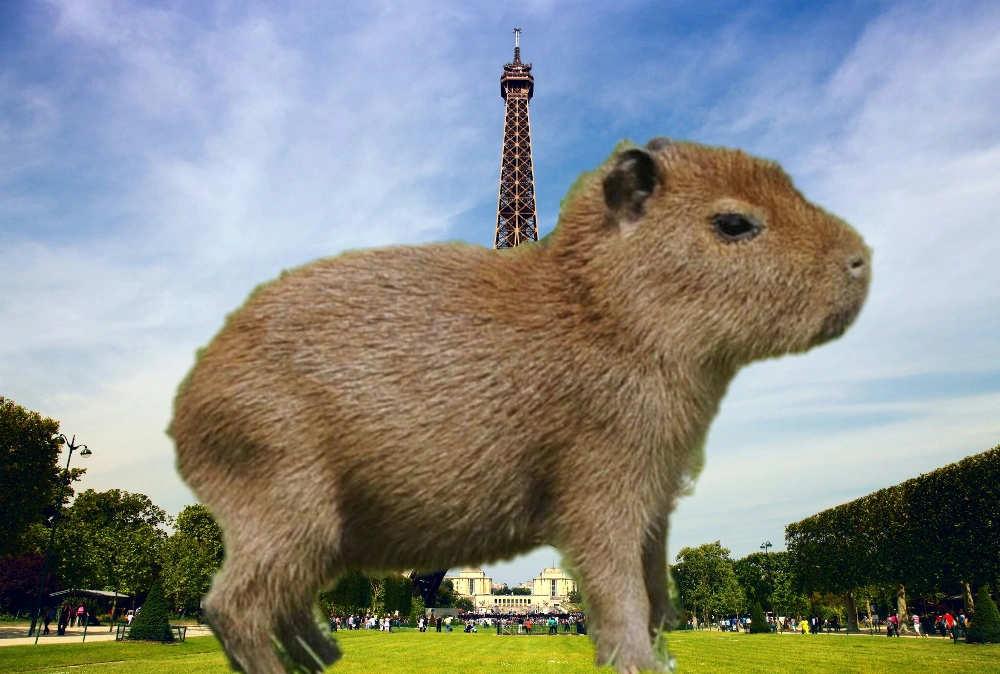  #freetoedit #giantanimals #capybara
