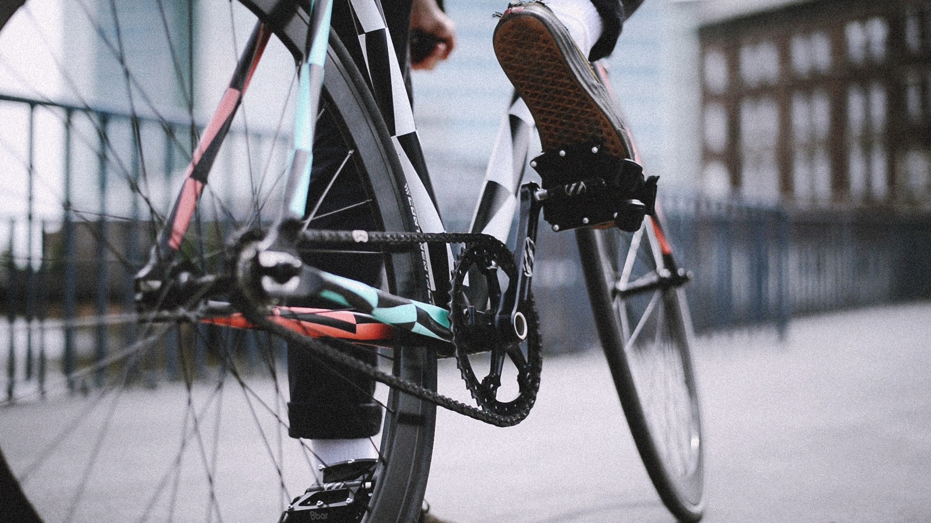 vans fixed gear