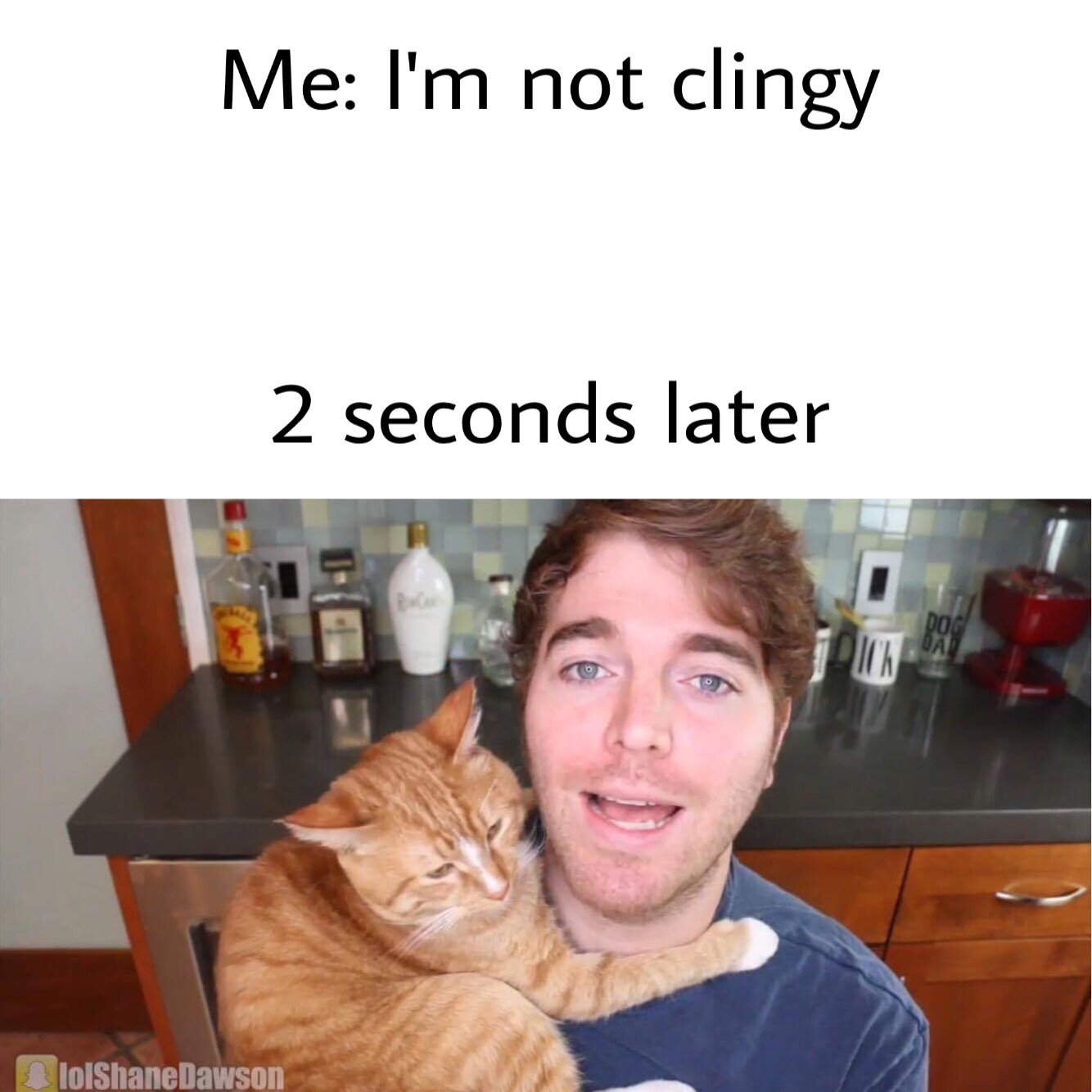 This visual is about shanedawson meme #shanedawson #meme.