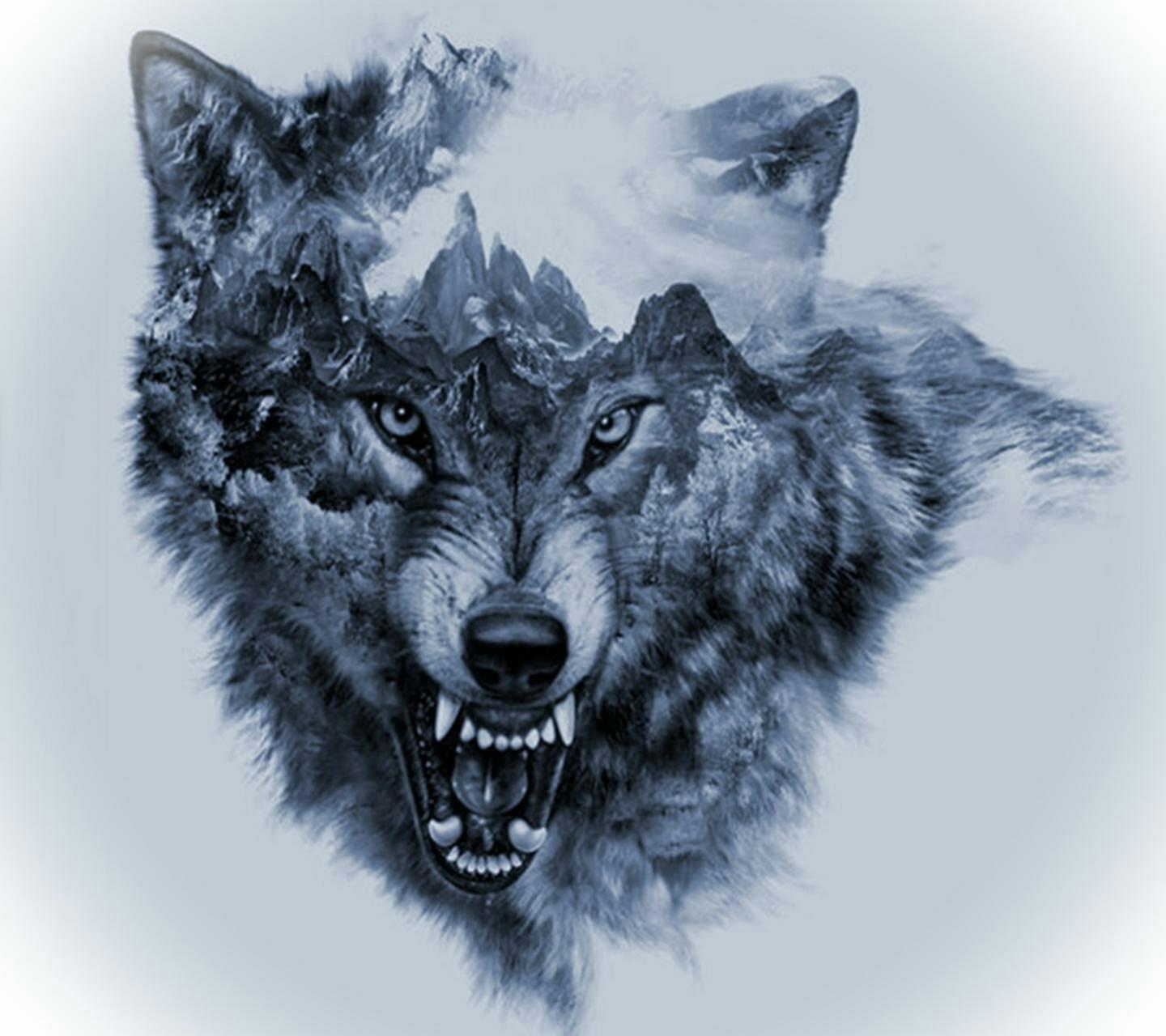 wolf danger - Image by Miller David Garcia Parra