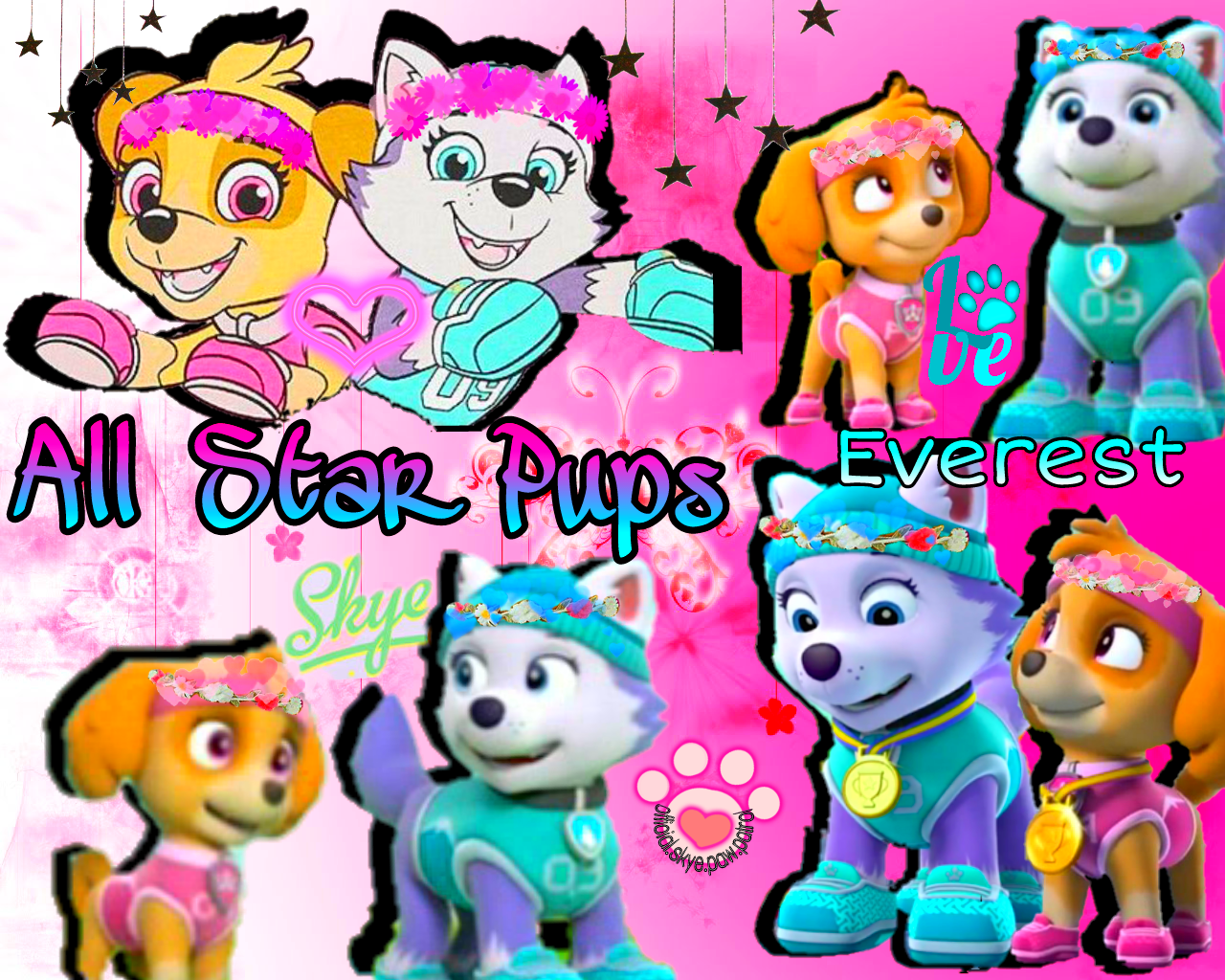 paw patrol all star pups