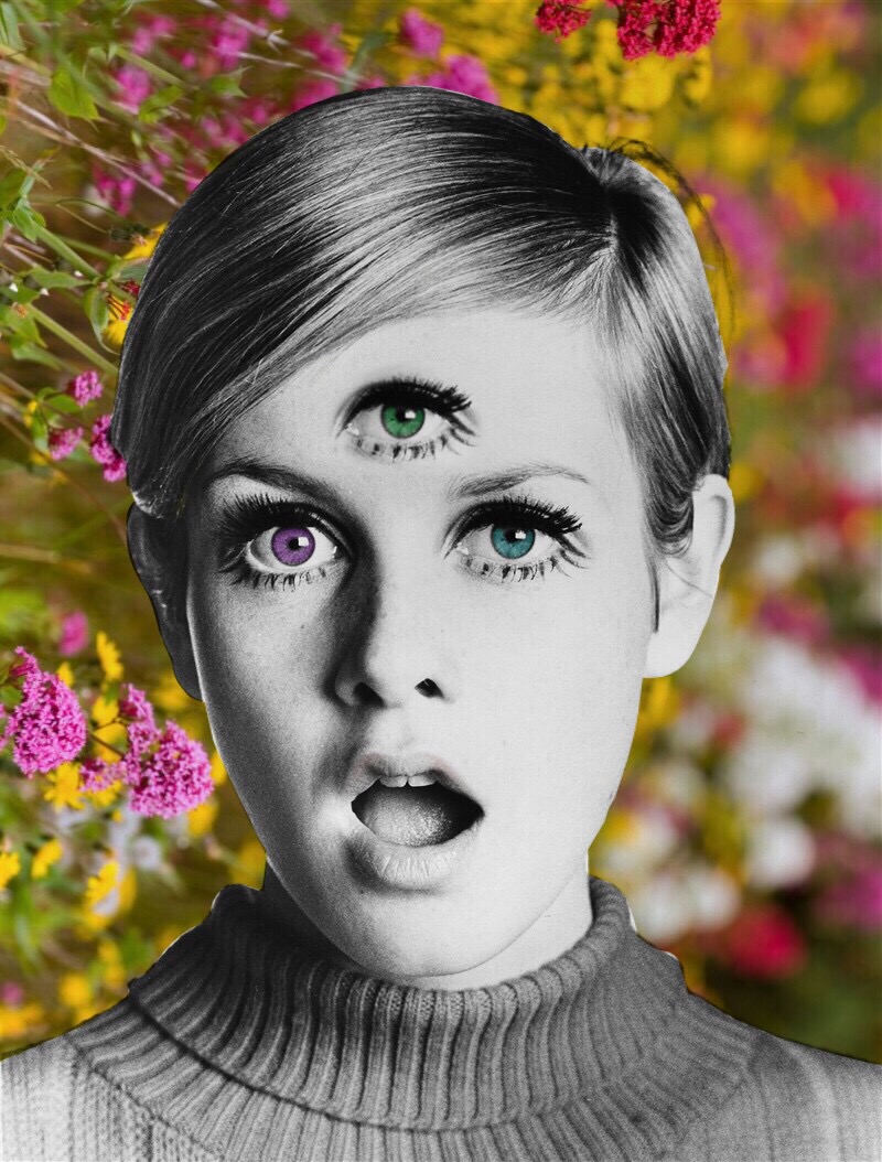 #twiggy #flowers #thirdeye #colors #blackandwhite #twiggyvibes #flowerart #thirdeyeart #colorsofnature #blacknwhite #art #artsy #people #60s 