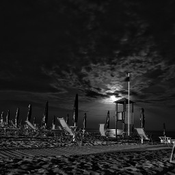 beach blackandwhite moonlight summer