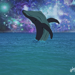 whale cute blue drawedbyme whales freetoedit