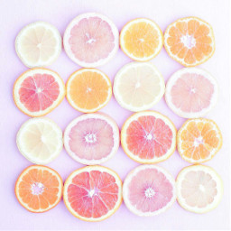 orange oranges citrus citrusfruit grapefruit freetoedit