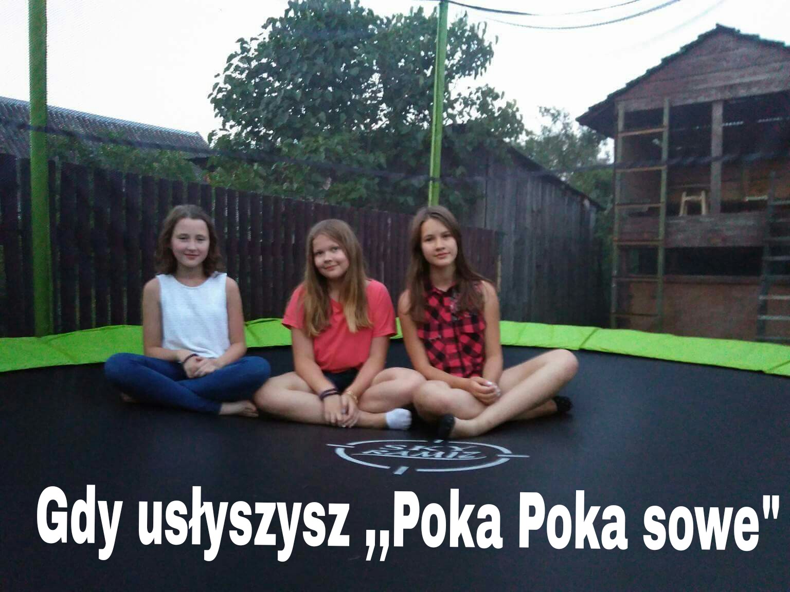 Poka Sowe Freetoedit By Ona