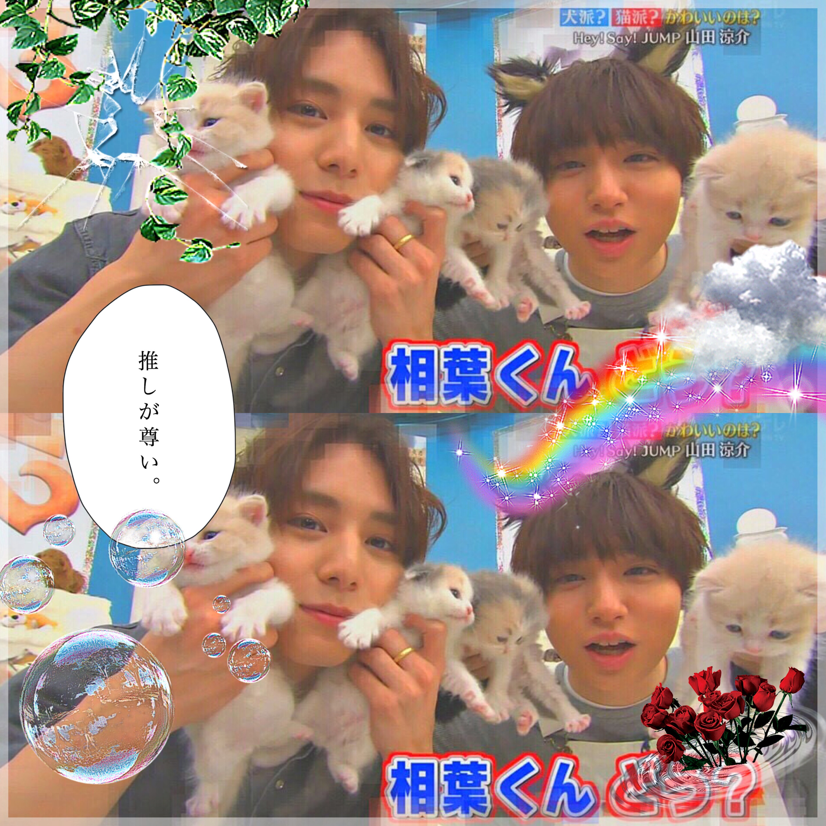 いのやま 志村どうぶつ園 Dog And Cat Image By ｲ ﾛ ﾊ