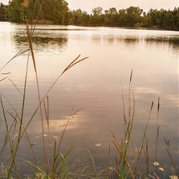 nature lake september