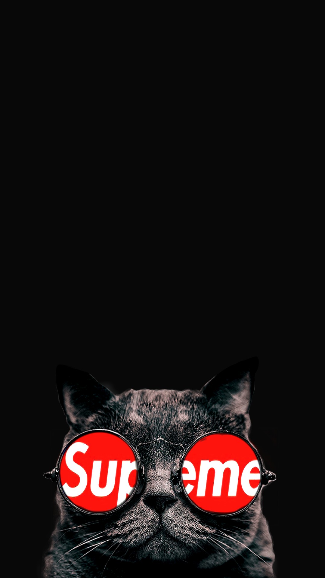 HD wallpaper: Supreme Cat, Supreme logo, Funny, communication
