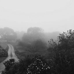 mist photography countryside freetoedit