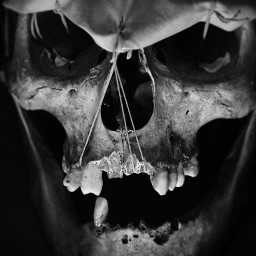 blackandwhite skull fear halloween photography dark horror freetoedit