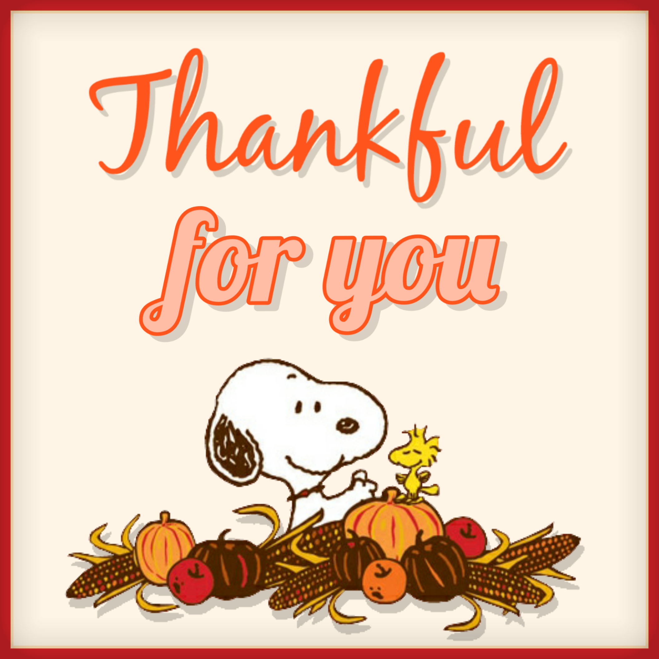 Happy Thanksgiving! thanksgiving peanuts fall holidays...