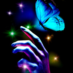 luminousbutterflies photography butterfly freetoedit
