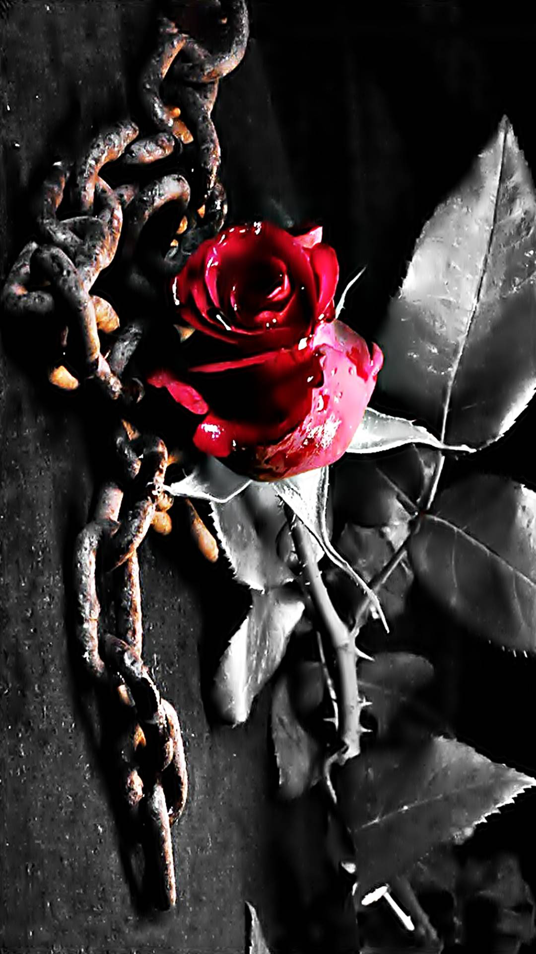 Роза с шипами арт