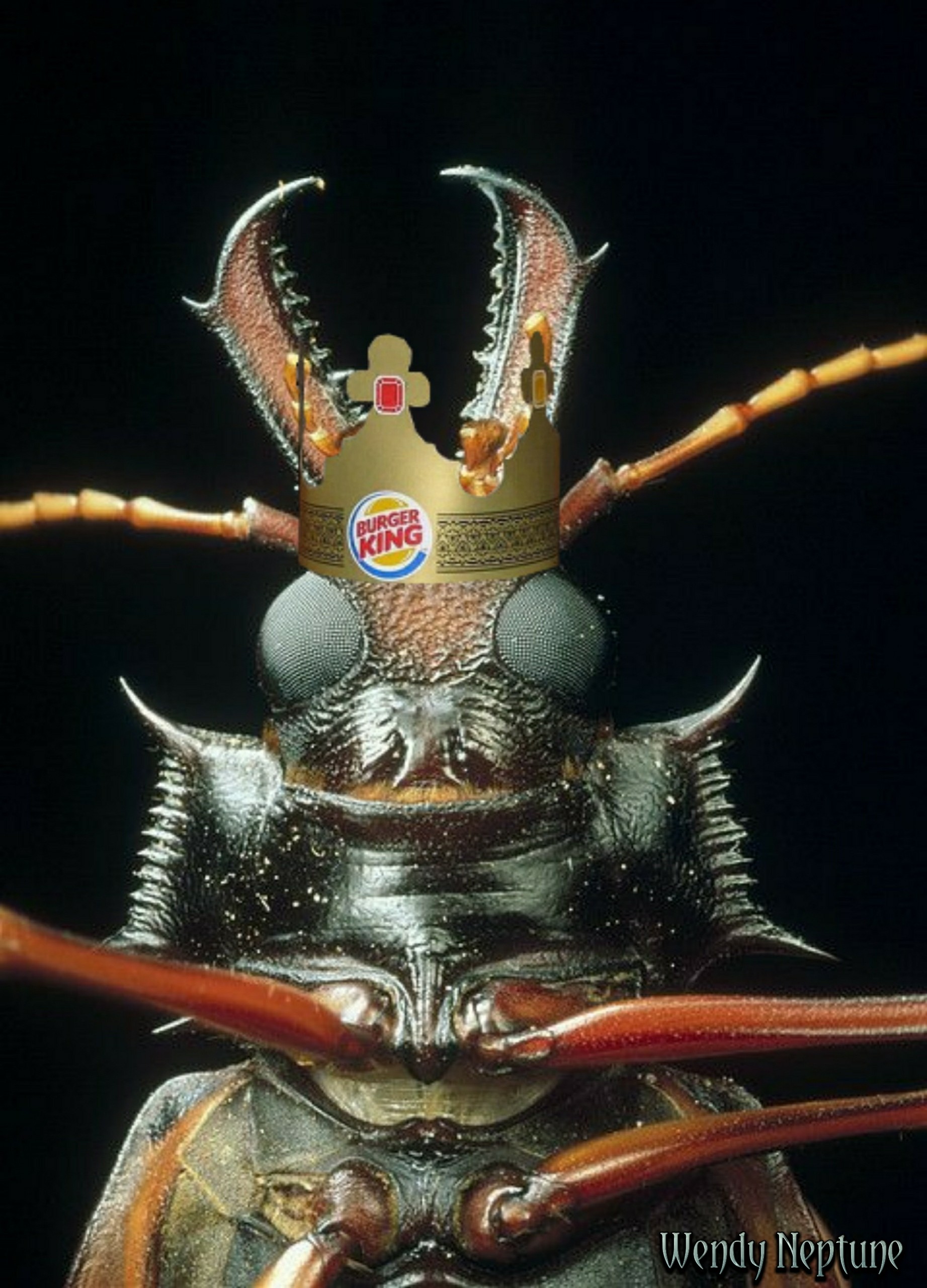 Страшный мир насекомых. Macrodontia cervicornis.
