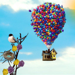 freetoedit sky balloons house nest
