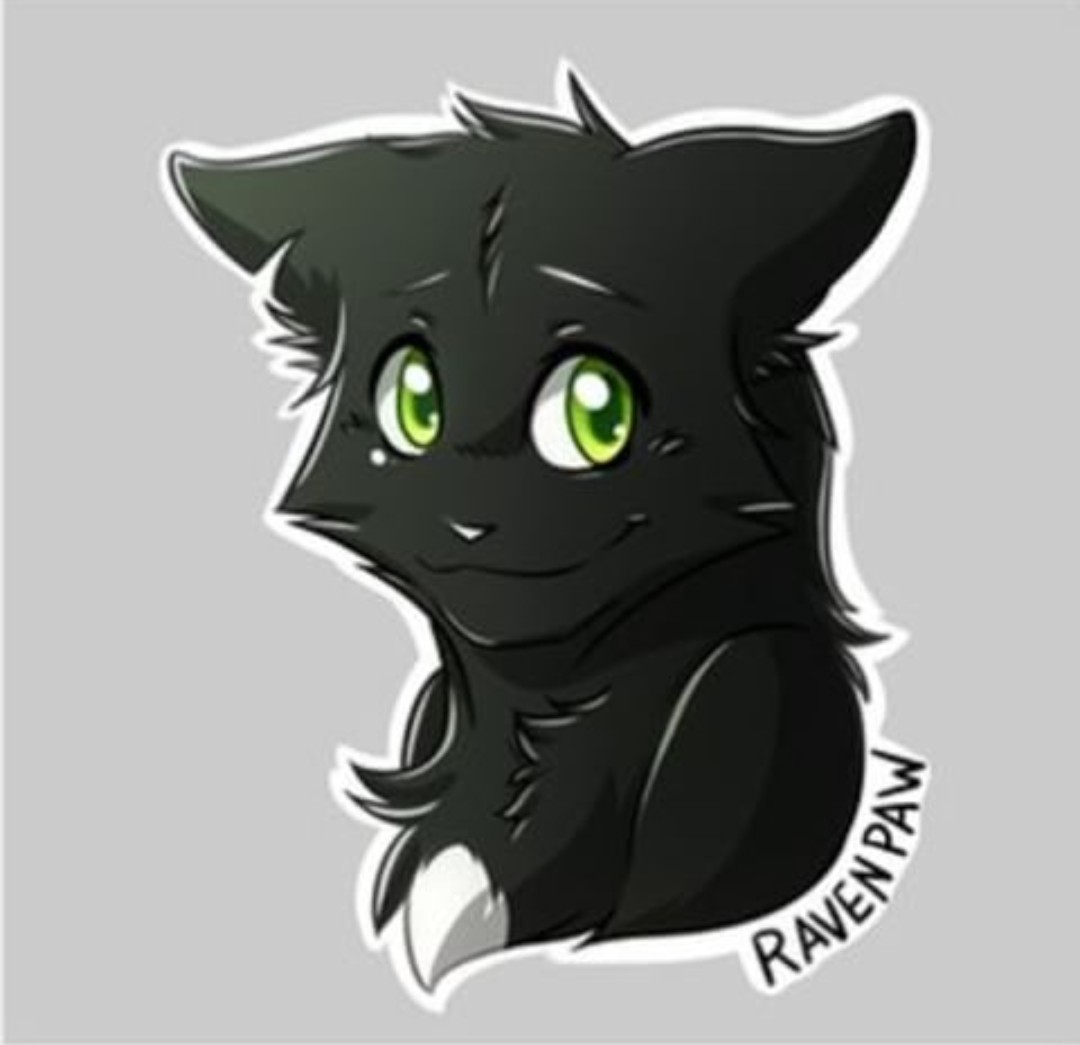 Free Cat Template Download Free Clip Art Free Clip Art On