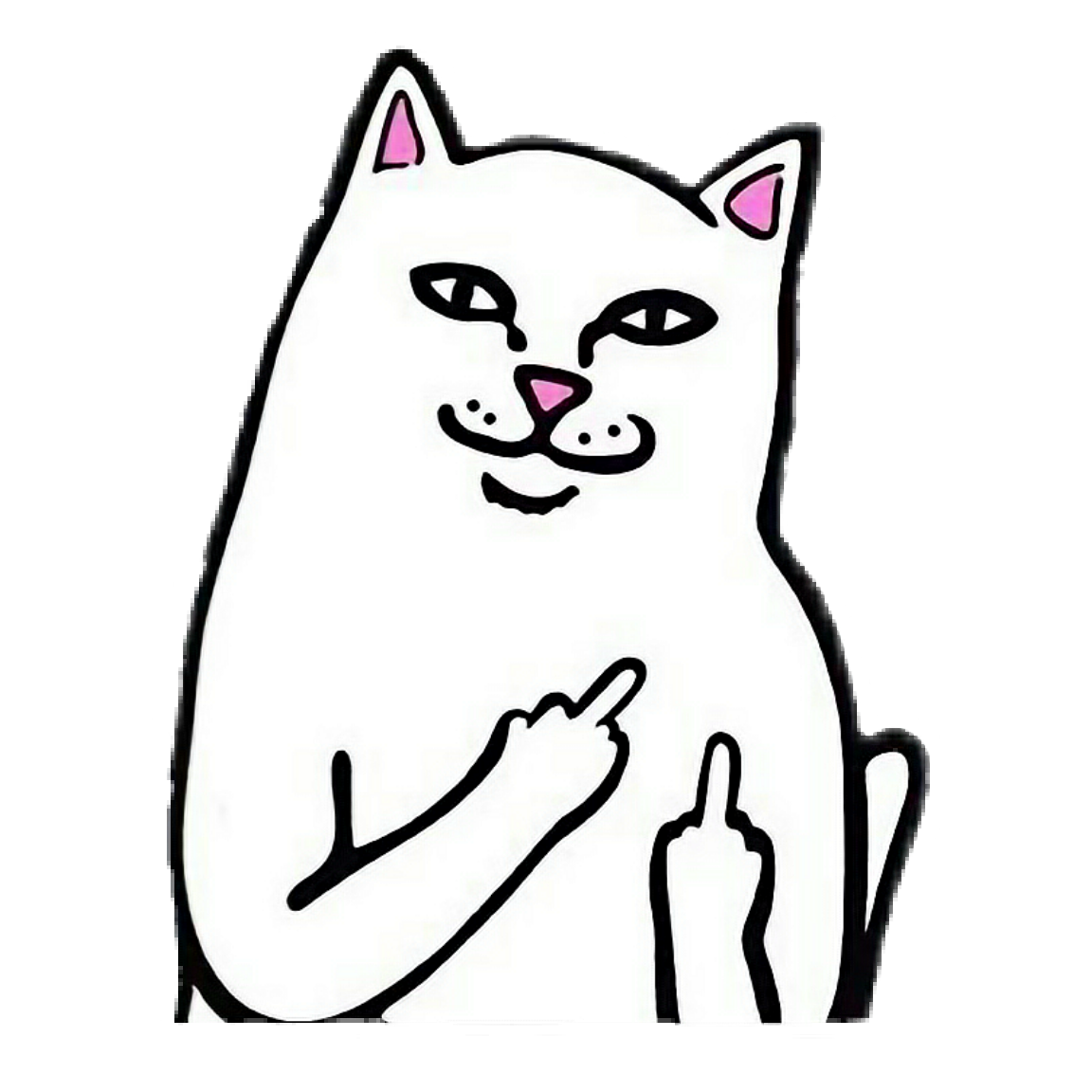 cat middlefinger icon pfp icons sticker by @sinfulphan.