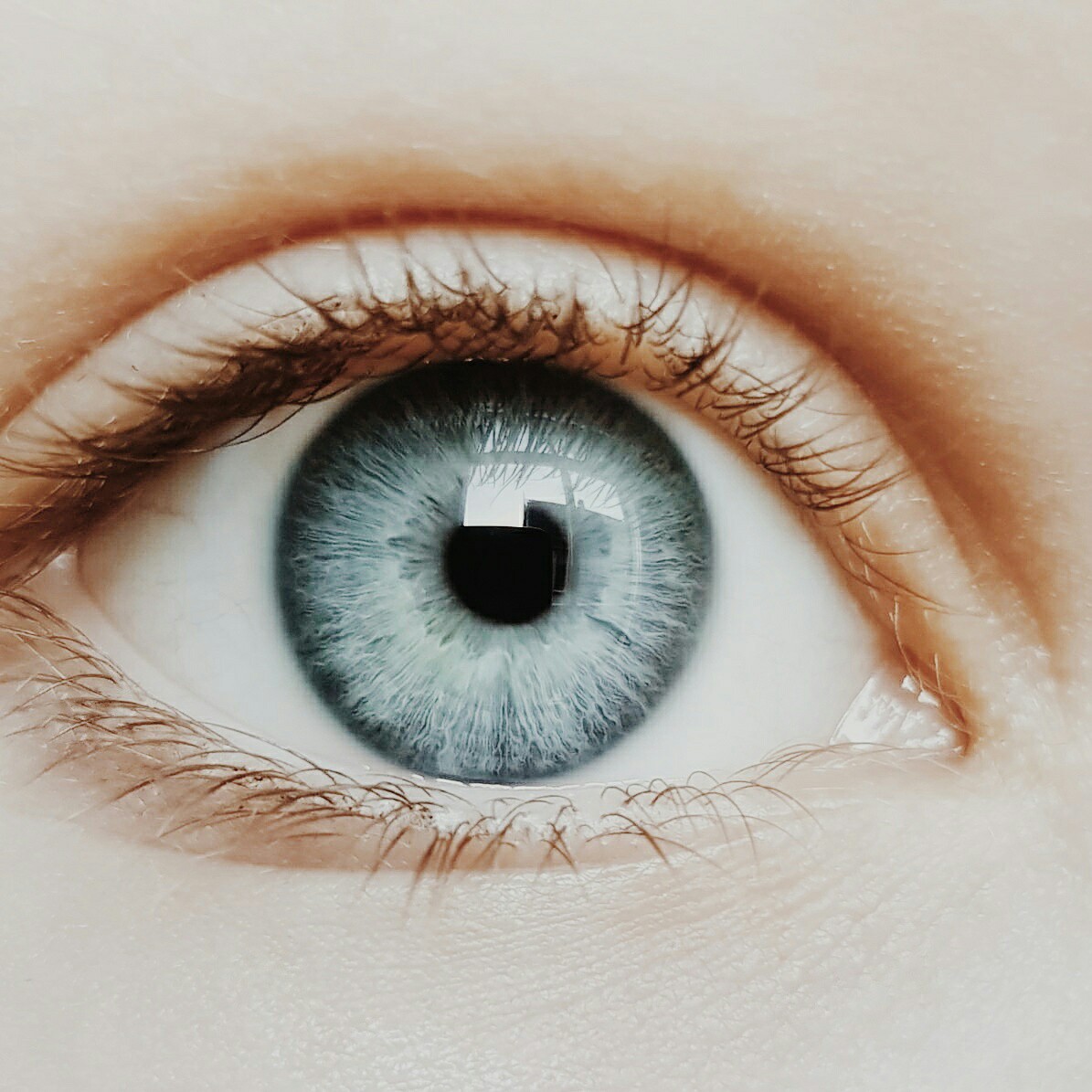 White eyes