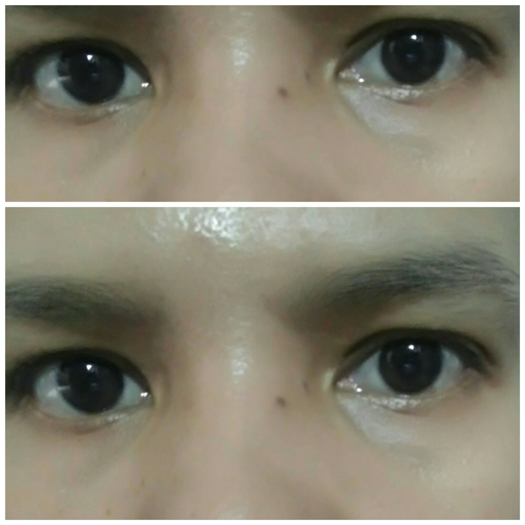 eye cream mata panda