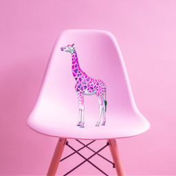 freetoedit pink jirafe pinkbackground chair