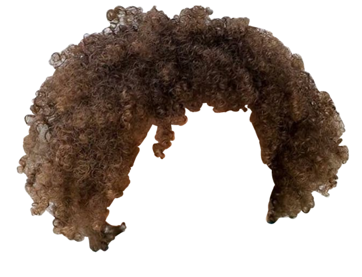 Afro Hair Brown Curls Freetoedit afro Sticker By misheho